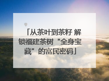 从茶叶到茶籽 解锁福建茶树“全身宝藏”的富民密码