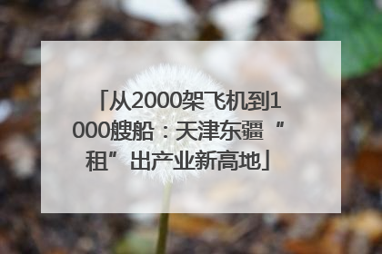 从2000架飞机到1000艘船：天津东疆“租”出产业新高地