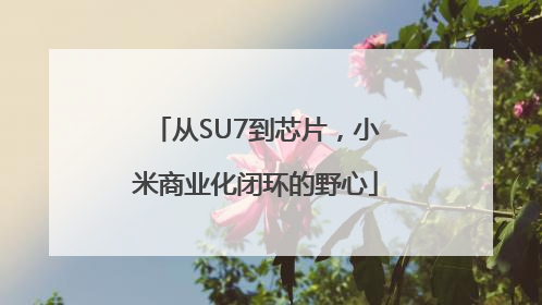 从SU7到芯片，小米商业化闭环的野心