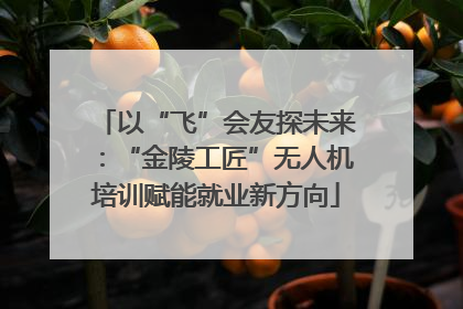 以“飞”会友探未来：“金陵工匠”无人机培训赋能就业新方向