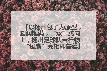 以扬州包子为原型，圆润饱满，“蒸”腾向上，扬州足球队吉祥物“包赢”亮相即售罄