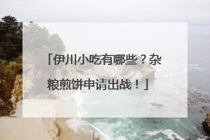 伊川小吃有哪些？杂粮煎饼申请出战！