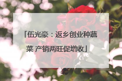伍光豪：返乡创业种蔬菜 产销两旺促增收