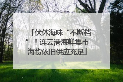 伏休海味“不断档”！连云港海鲜集市海货依旧供应充足