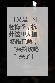 又是一年杨梅季，杭州这里大棚杨梅已熟，“采摘攻略”来了