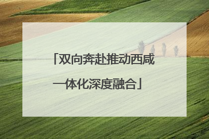 双向奔赴推动西咸一体化深度融合