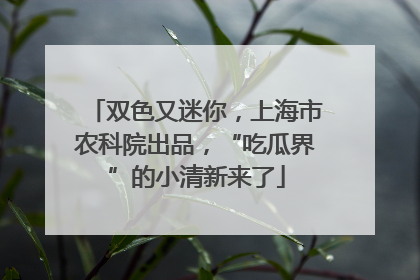 双色又迷你，上海市农科院出品，“吃瓜界”的小清新来了