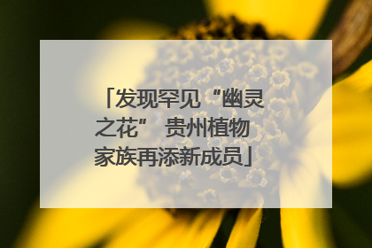 发现罕见“幽灵之花” 贵州植物家族再添新成员