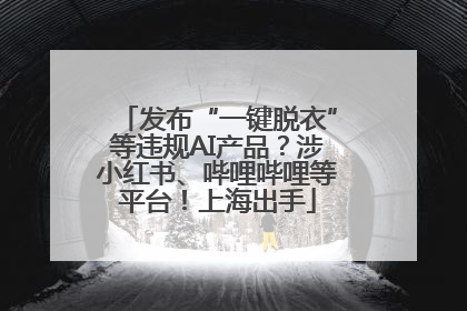 发布“一键脱衣”等违规AI产品？涉小红书、哔哩哔哩等平台！上海出手