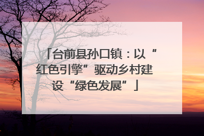 台前县孙口镇：以“红色引擎”驱动乡村建设“绿色发展”