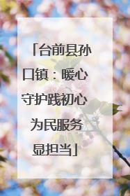 台前县孙口镇：暖心守护践初心 为民服务显担当