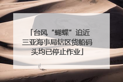 台风“蝴蝶”迫近 三亚海事局辖区货船码头均已停止作业