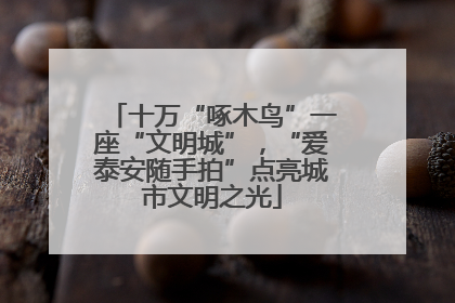 十万“啄木鸟”一座“文明城”，“爱泰安随手拍”点亮城市文明之光