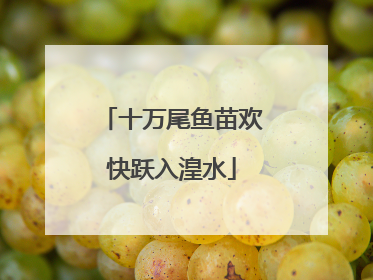 十万尾鱼苗欢快跃入湟水