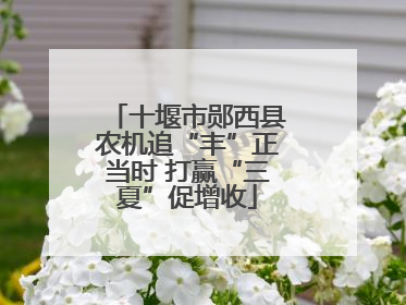 十堰市郧西县农机追“丰”正当时 打赢“三夏”促增收