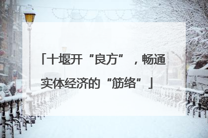 十堰开“良方”，畅通实体经济的“筋络”