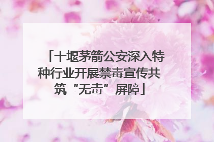 十堰茅箭公安深入特种行业开展禁毒宣传共筑“无毒”屏障