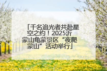 千名追光者共赴星空之约！2025沂蒙山龟蒙景区“夜爬蒙山”活动举行