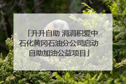 升升自助 涓涓积爱中石化黄冈石油分公司启动自助加油公益项目