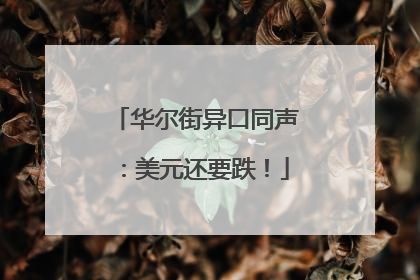 华尔街异口同声：美元还要跌！