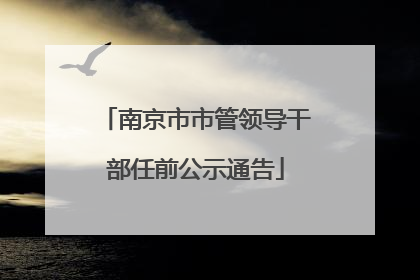 南京市市管领导干部任前公示通告