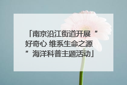 南京沿江街道开展“好奇心 维系生命之源”海洋科普主题活动
