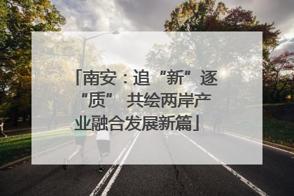 南安：追“新”逐“质” 共绘两岸产业融合发展新篇