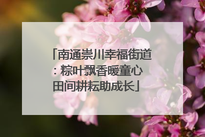 南通崇川幸福街道：粽叶飘香暖童心 田间耕耘助成长