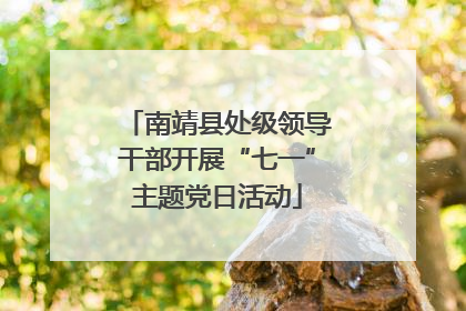 南靖县处级领导干部开展“七一”主题党日活动