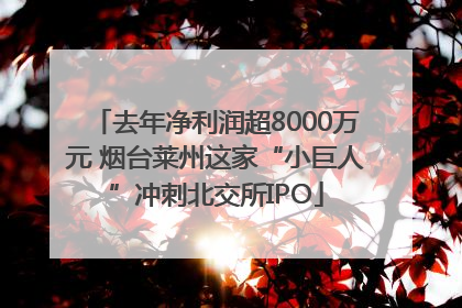 去年净利润超8000万元 烟台莱州这家“小巨人”冲刺北交所IPO
