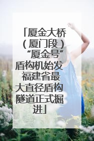 厦金大桥（厦门段）“厦金号”盾构机始发 福建省最大直径盾构隧道正式掘进