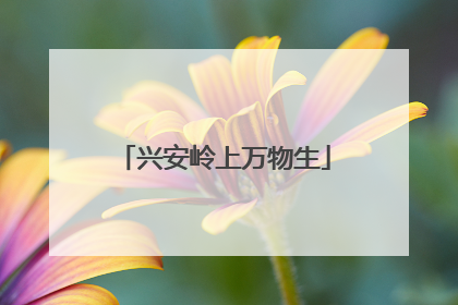 兴安岭上万物生
