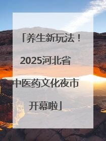 养生新玩法！2025河北省中医药文化夜市开幕啦