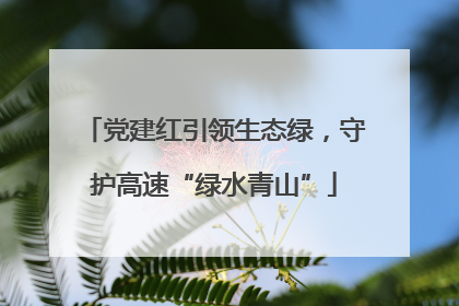 党建红引领生态绿，守护高速“绿水青山”