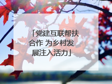 党建互联帮扶合作 为乡村发展注入活力