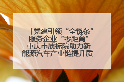 党建引领“全链条” 服务企业“零距离” 重庆市质标院助力新能源汽车产业链提升质量管理水平