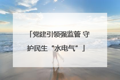 党建引领强监管 守护民生“水电气”