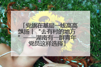 党旗在基层一线高高飘扬丨“去有村的地方”——湖南有一群青年党员这样选择