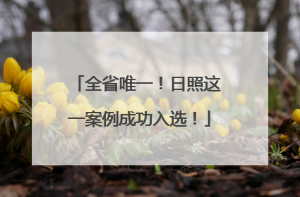 全省唯一！日照这一案例成功入选！