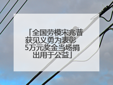 全国劳模宋兆普获见义勇为表彰 5万元奖金当场捐出用于公益