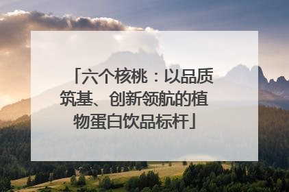 六个核桃：以品质筑基、创新领航的植物蛋白饮品标杆