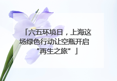 六五环境日，上海这场绿色行动让空瓶开启 “再生之旅”