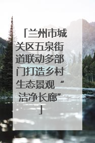 兰州市城关区五泉街道联动多部门打造乡村生态景观“洁净长廊”