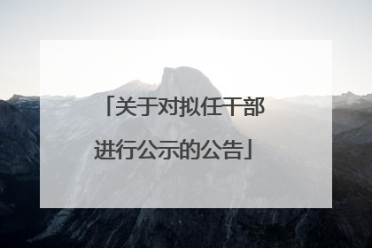关于对拟任干部进行公示的公告