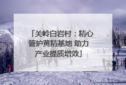关岭白岩村：精心管护黄精基地 助力产业提质增效