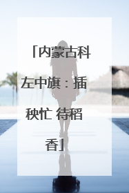 内蒙古科左中旗：插秧忙 待稻香