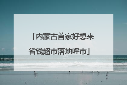 内蒙古首家好想来省钱超市落地呼市