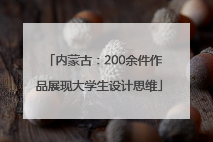 内蒙古：200余件作品展现大学生设计思维