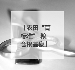 农田“高标准” 粮仓根基稳