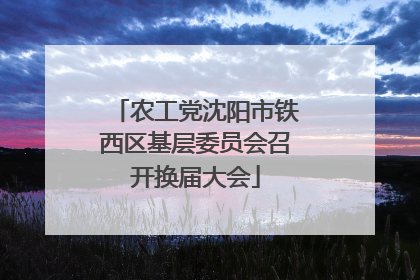 农工党沈阳市铁西区基层委员会召开换届大会
